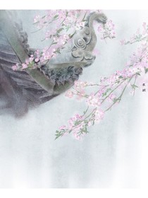 红色海棠花