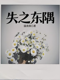 失之东隅