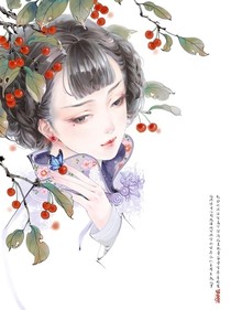 我当夫人那些年