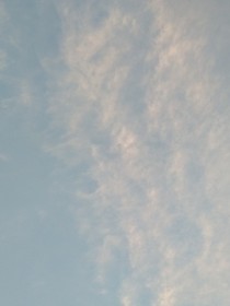 直男林彦