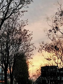 那年晚风吹