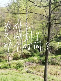 为什么又回到了那个时间！？