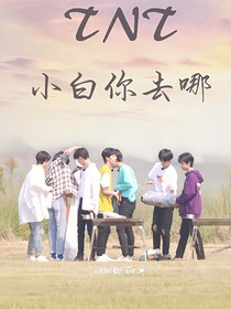 TNT：小白你去哪