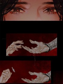 百合花也可以盛开