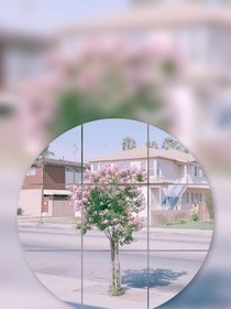 驚艷我的時光
