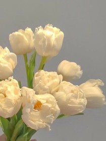 难收