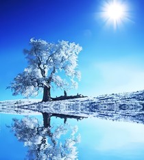 水默之忘川