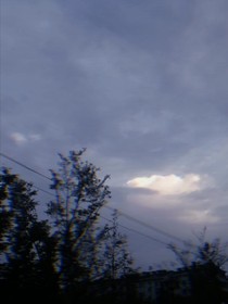 利誘