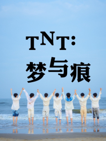 TNT：梦与痕