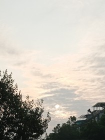 木辭by姜悅城