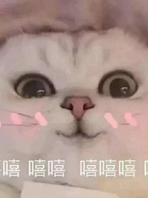 给大大的画画