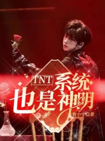 TNT：系统也是神明