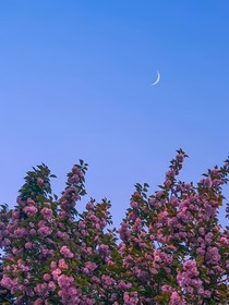 事后清晨
