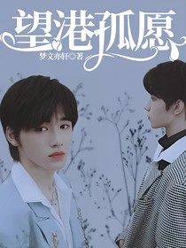 望港孤愿