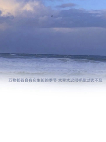玫瑰和月光-d460