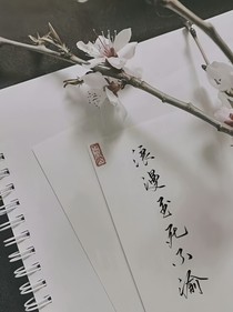 极端的爱：再遇见