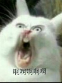 是誰(shuí)扼住了我命運(yùn)的咽喉-d335