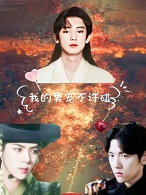 我的男宠不许碰