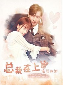 总裁在上我在下番外