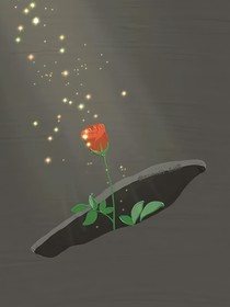 轻叙风起时