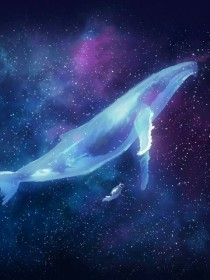 海蓝之鲸
