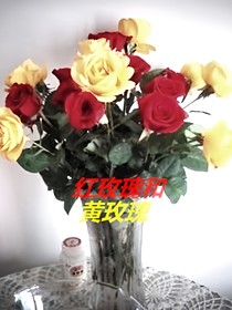 红玫瑰和黄玫瑰