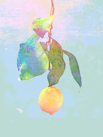 陌上人無雙