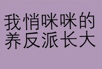 我悄咪咪的养反派长大