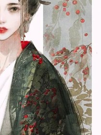 那年凤凰花开时