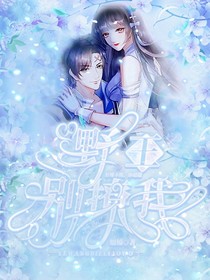 野王，別撩我