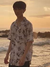 冬日的甘洋菊