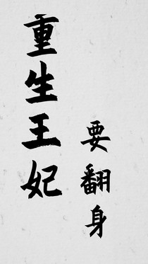 重生王妃要翻身
