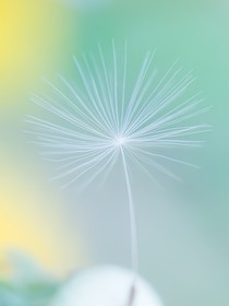 奈何念念不想忘