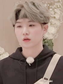 BTS：闵先生der恋爱日记