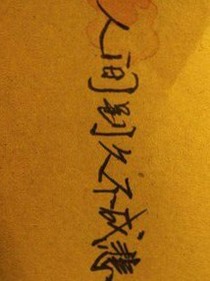 人间别久不成悲：逆天改命！