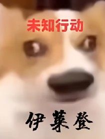 未知行动：伊莱登