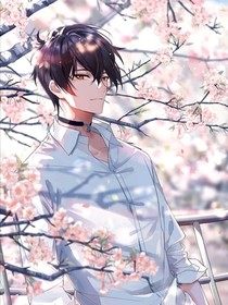 櫻花又開(kāi)了