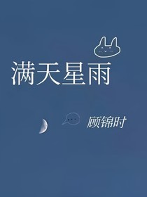 满天星雨