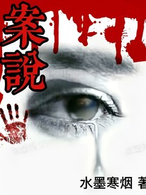 案說