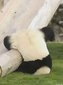 TNT：我上辈子是拯救了银河系吗？