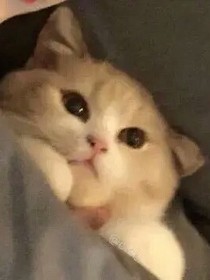 俊浩