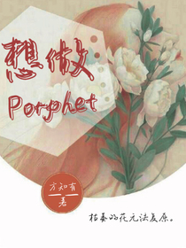 想做porphet-d045