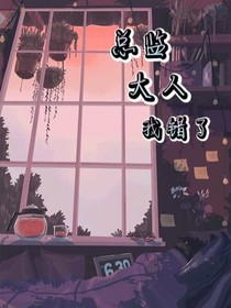 總監(jiān)大人我錯(cuò)了