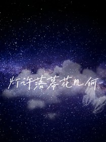 燈許落幕花幾何