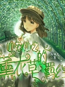 小花仙之薰衣草的羁绊-d665