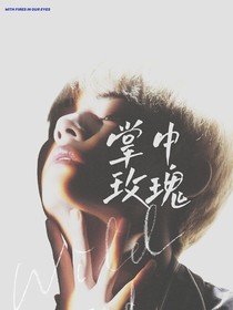 掌中玫瑰-d638