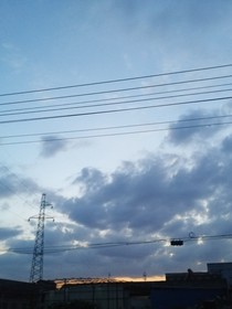 只对她