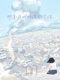 那年我刚好遇见了你