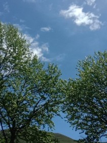 对与错，错与对
