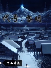 代号：黎明（重置版）